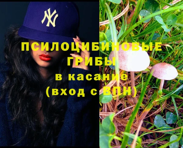 спайс Заводоуковск