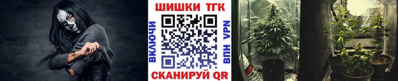 Бошки Шишки THC 21% Льгов